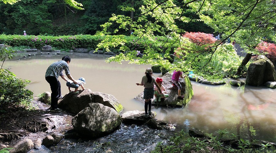 🌳 현립 히가시타카네 삼림공원 (켄리쓰 히가시타카네 신린코엔) 이미지 10
